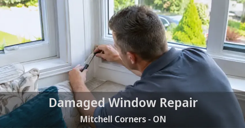 Damaged Window Repair Mitchell Corners - ON